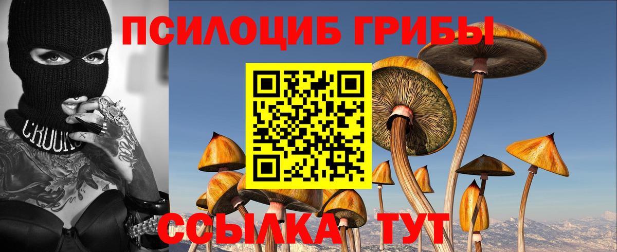 Галлюциногенные грибы мухоморы Южноуральск