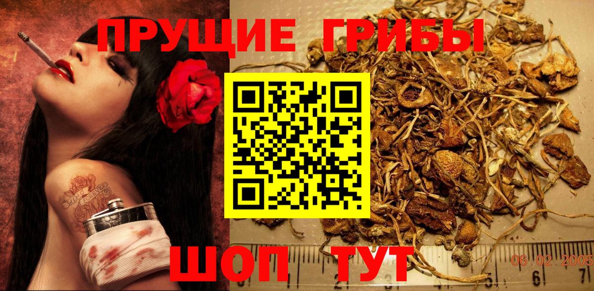 цена наркотик  Вход с VPN  Южноуральск  Псилоцибиновые грибы Cubensis 
